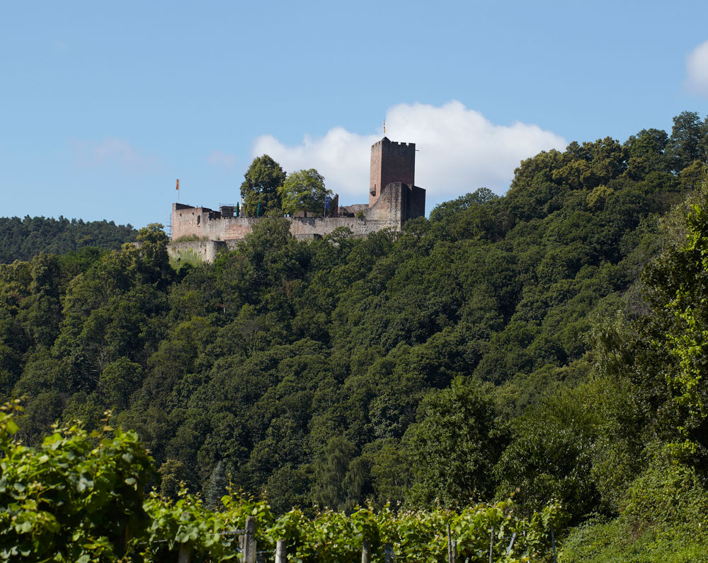 Burg Landeck (Pfalz) bei Klingenmünster